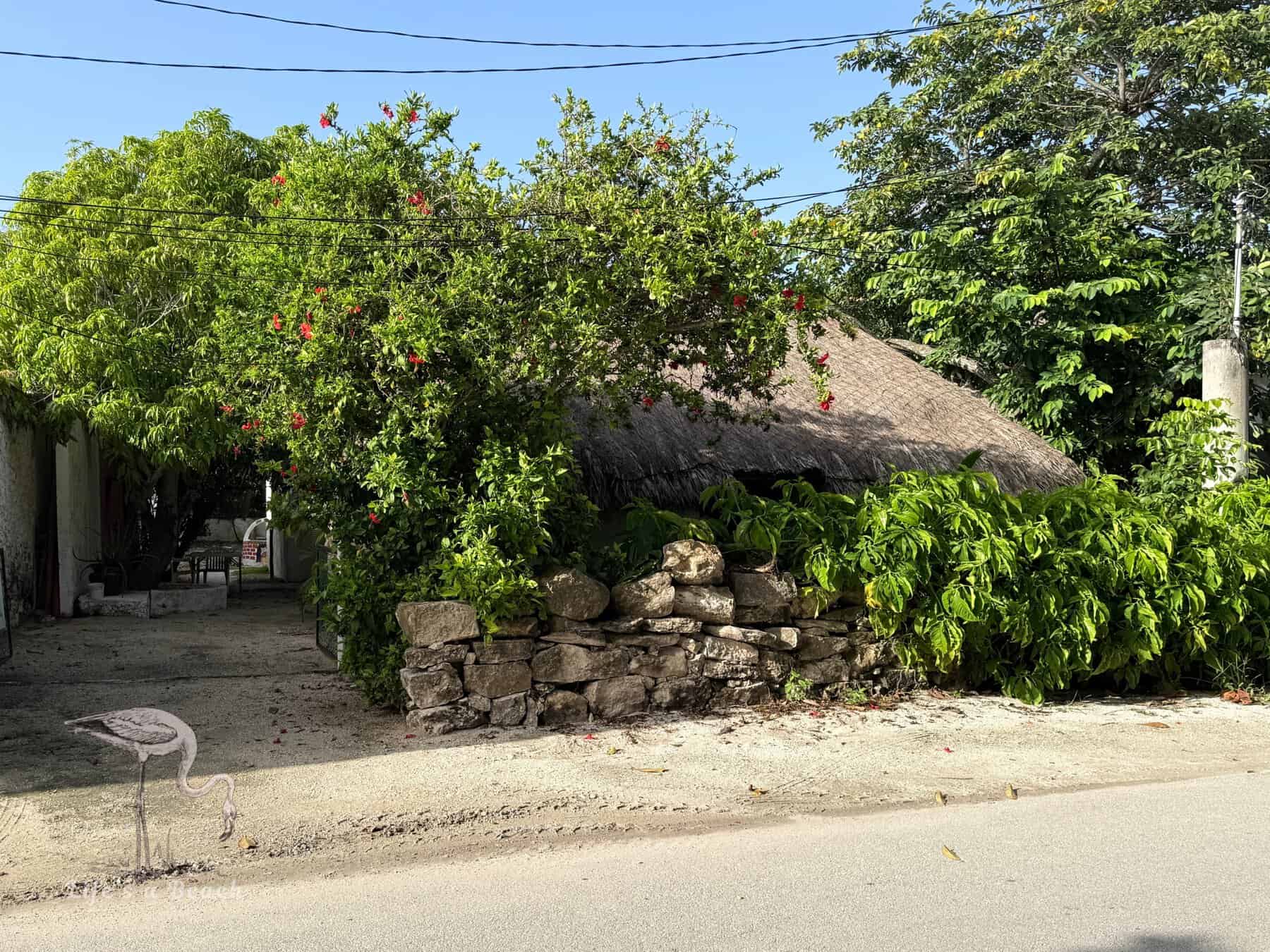 Charming Mayan Retreat