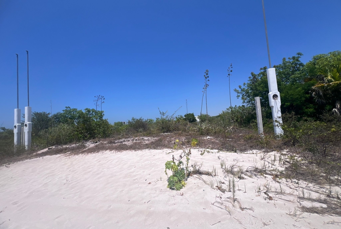 Land Lot in San Benito, Yucatán